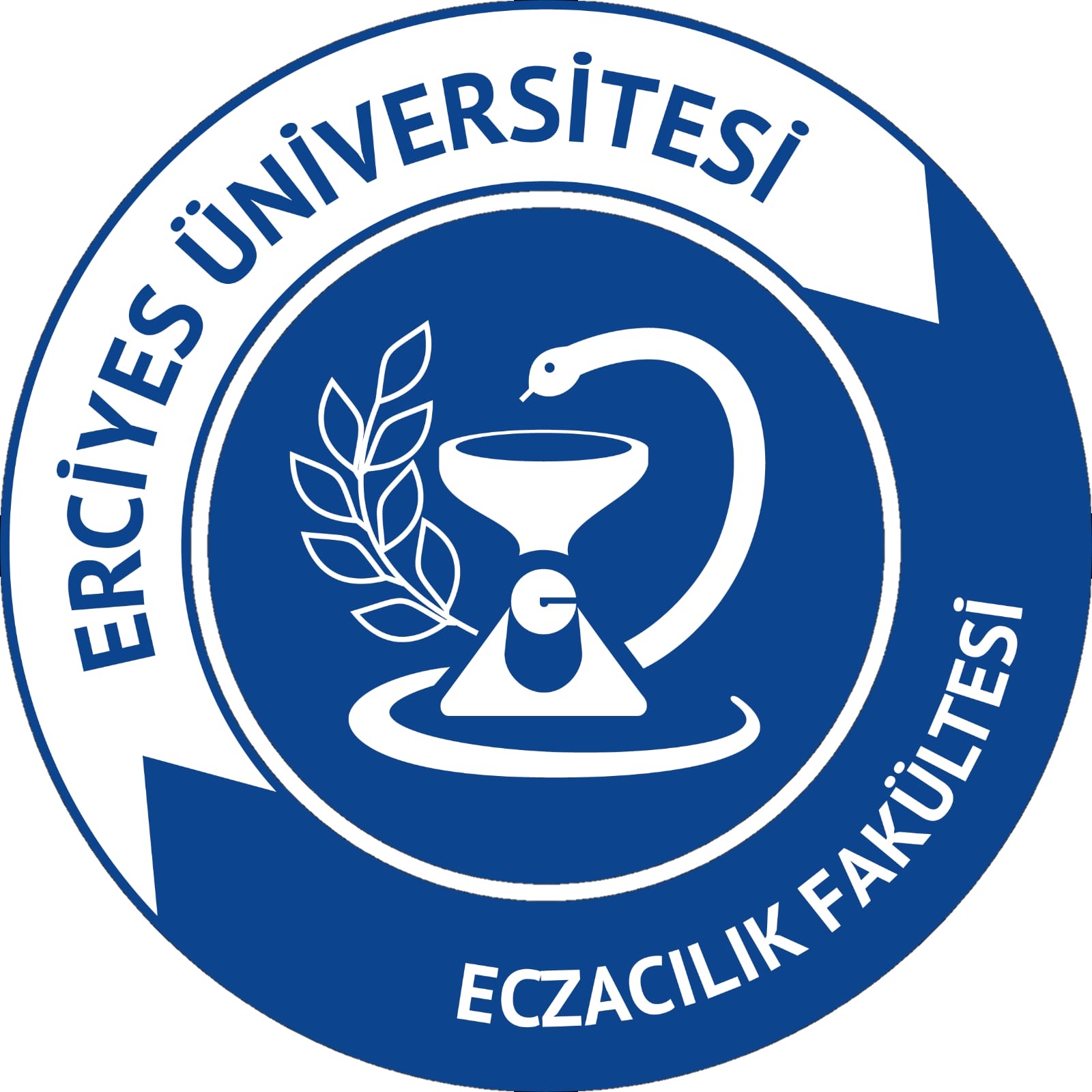 Erciyes University